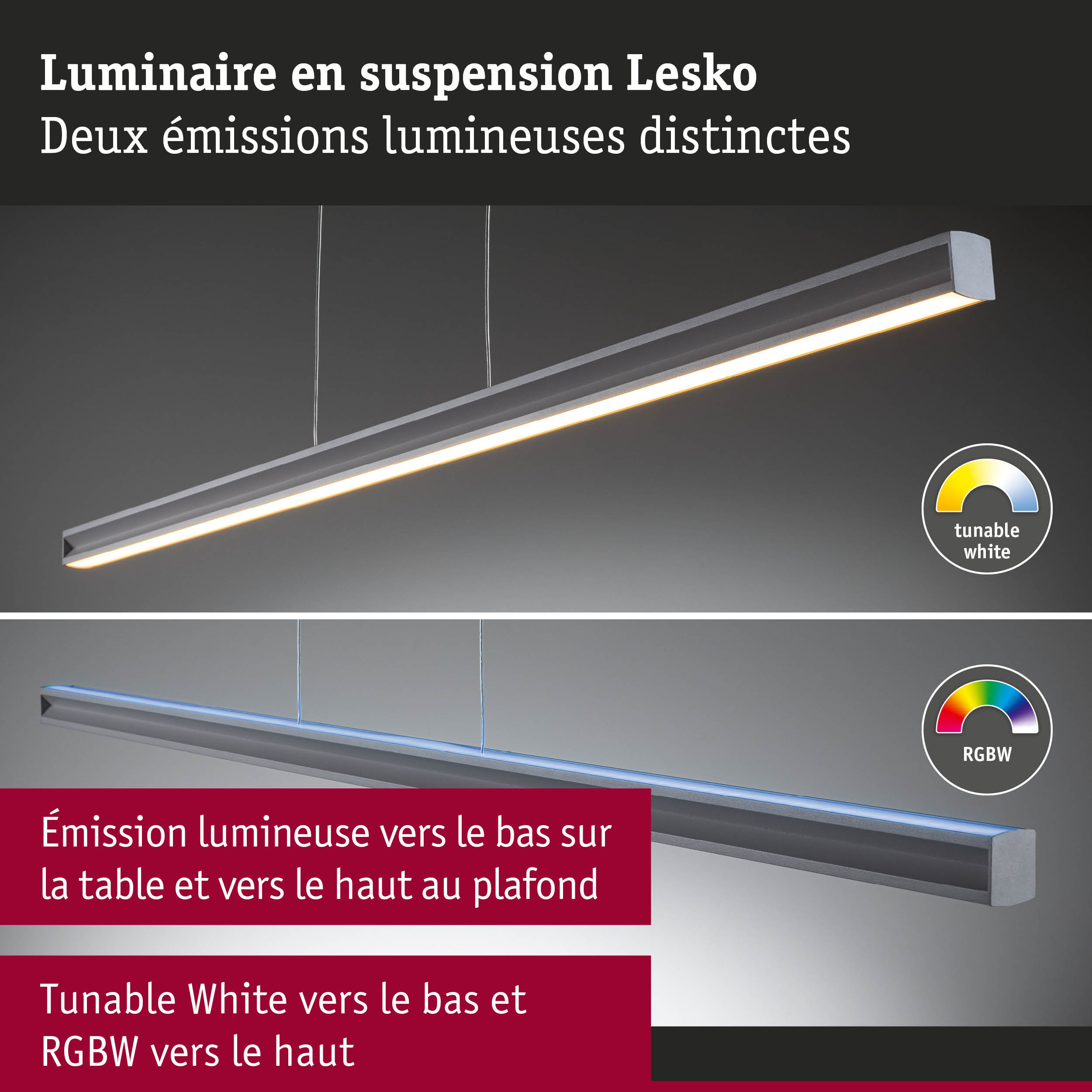 Luminaire suspendu Lesko en aluminium gris avec double émission lumineuse et éclairage blanc réglable et RGBW
