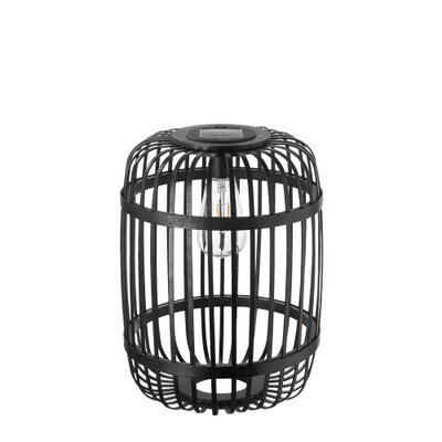 Lampe solaire extérieure noire en métal avec design en cage et ampoule LED visible pour éclairage de jardin