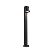 Black aluminum outdoor light with adjustable head for focused garden lighting