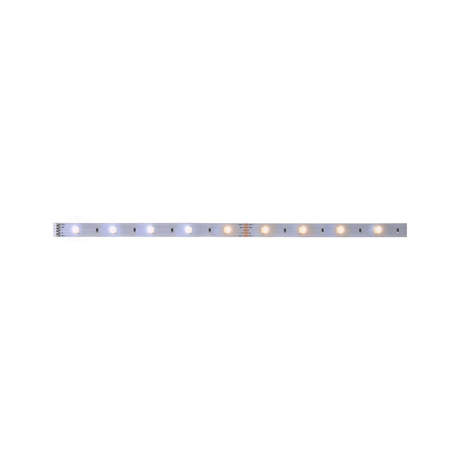 MaxLED 250 LED Strip Tunable White Afzonderlijke strip 1m 4W 270lm/m Tunable White