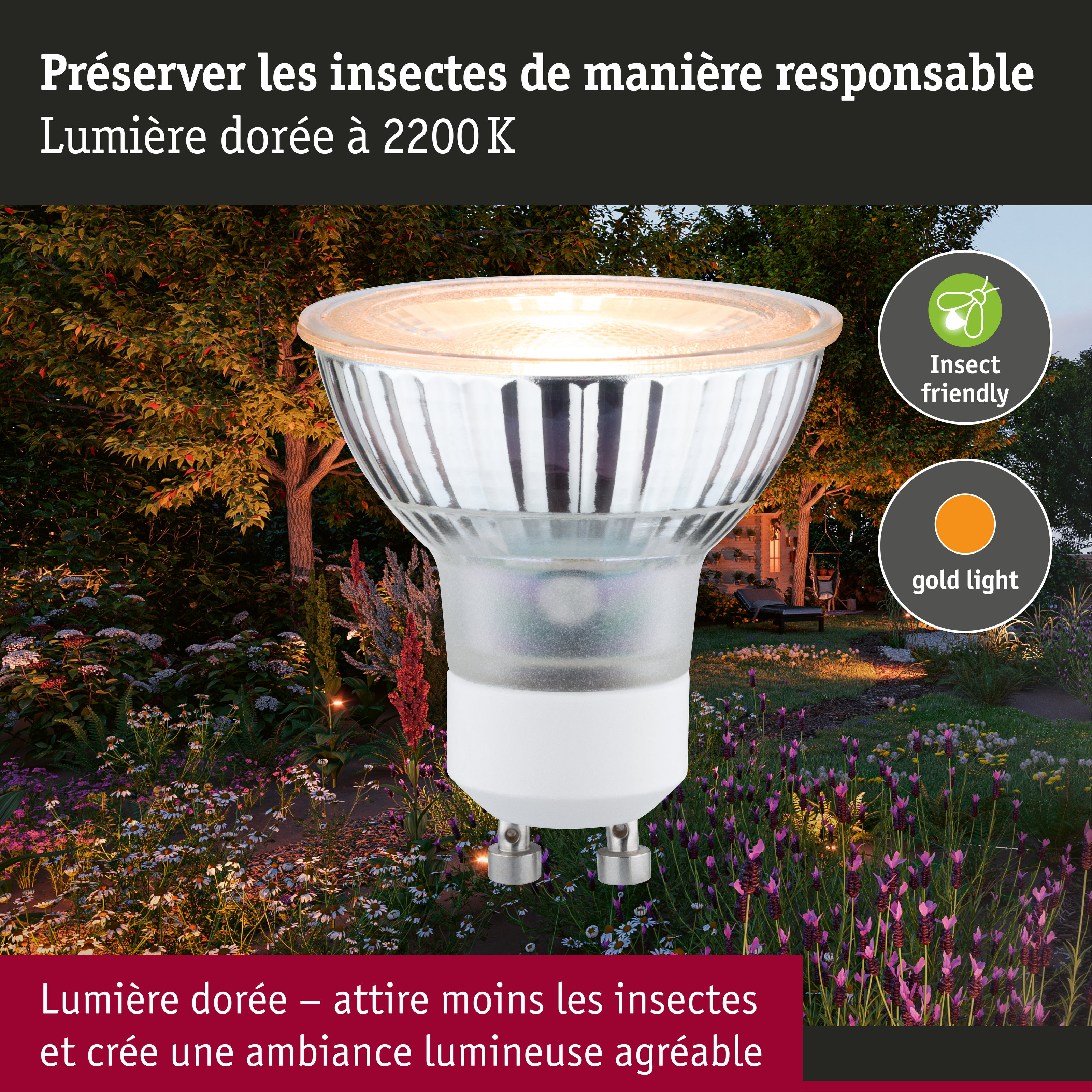 Standard 230 V Réflecteur LED GU10 favorable aux insectes 320lm 4,3W 2200K Argent