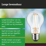 LED-lamp met lange levensduur in hand, energiezuinige duurzame verlichtingsoplossing