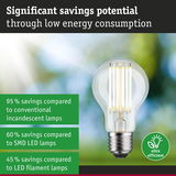 Energy-saving LED light bulb with clear glass and silver base, highlighting high efficiency and savings potential
