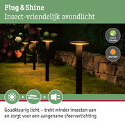 Insectvriendelijke tuinverlichting met warm wit licht en zwarte voet voor buitengebruik
