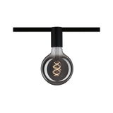 Ampoule LED en verre fumé avec filament en spirale et support noir sur système de rail pour éclairage moderne