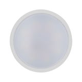 Round white LED ceiling light with frosted plastic diffuser for energy-efficient room lighting