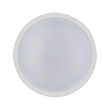 Round white LED ceiling light with frosted plastic diffuser for energy-efficient room lighting