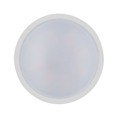 Plafonnier LED rond blanc avec diffuseur en plastique dépoli pour éclairage économique de la pièce