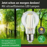 LED-Glühbirne mit warmweißem Licht und hoher Energieeffizienz vor grünem Waldhintergrund