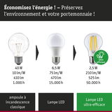 Comparaison ampoule classique, lampe LED et LED ultra-efficace avec consommation et durée de vie