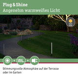 Gartenweg mit warmweiß beleuchteten, schlanken LED-Steckleuchten für stimmungsvolle Außenbeleuchtung