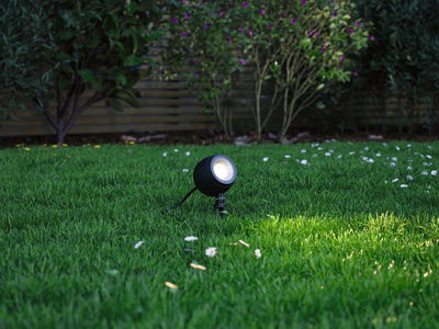 Black LED garden spotlight on green grass with white flowers, outdoor pathway lighting