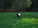 Black LED garden spotlight on green grass with white flowers, outdoor pathway lighting
