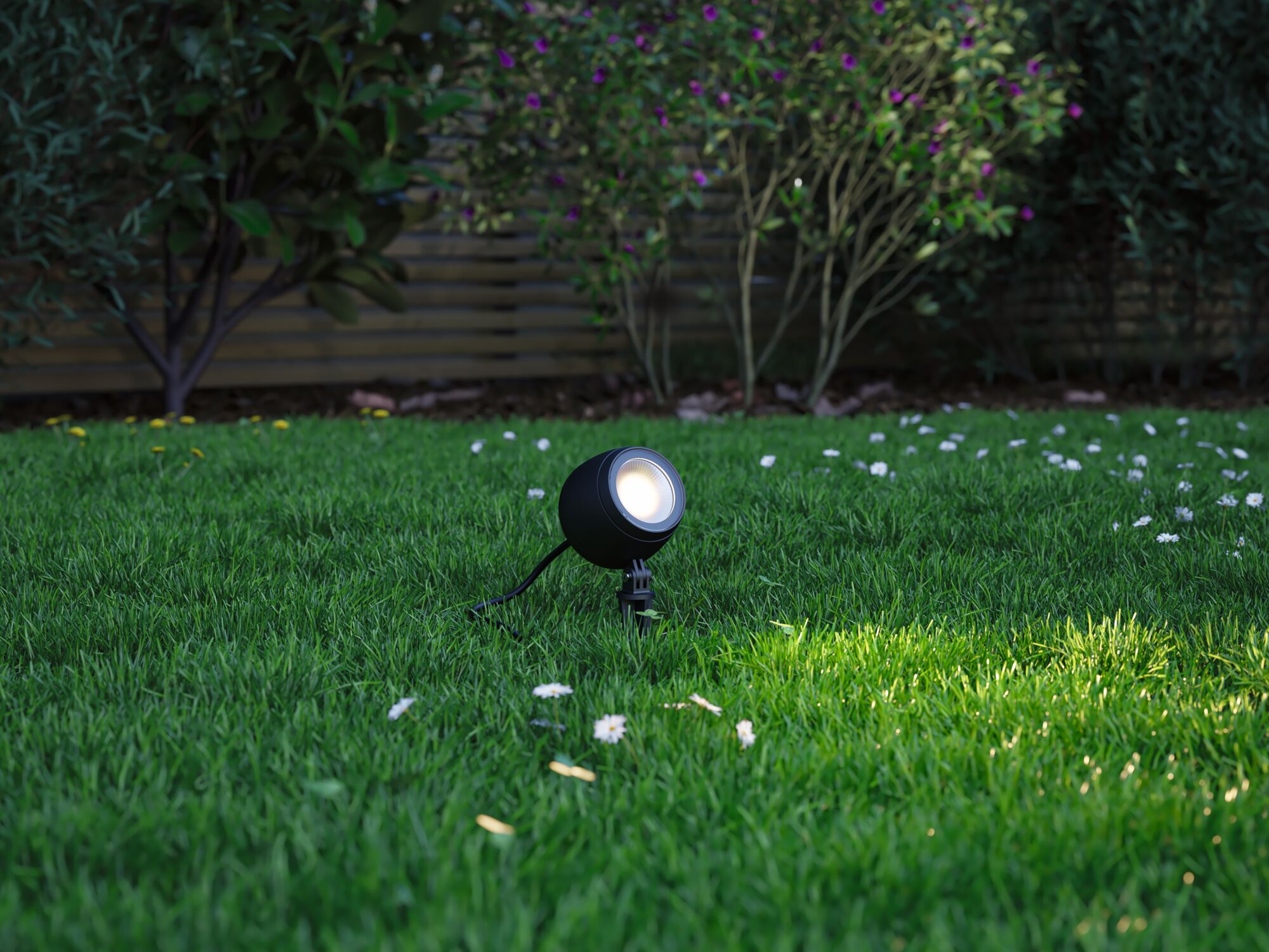 Schwarzer LED-Gartenstrahler auf grünem Rasen mit weißen Blumen, Außenbeleuchtung für Wege