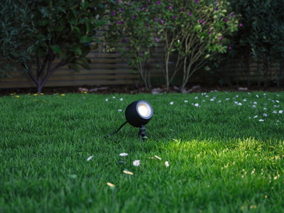 Zwarte LED-tuinschijnwerper op groen gras met witte bloemen, buitenverlichting voor paden