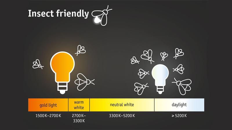 Grafik zeigt insektenfreundliche Lichtfarben von Gold bis Tageslicht mit Insektenanzahl zur Beleuchtung.