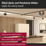 Modern black URail Spots with Pendulum Hildor, warm white LED ceiling lights for living spaces