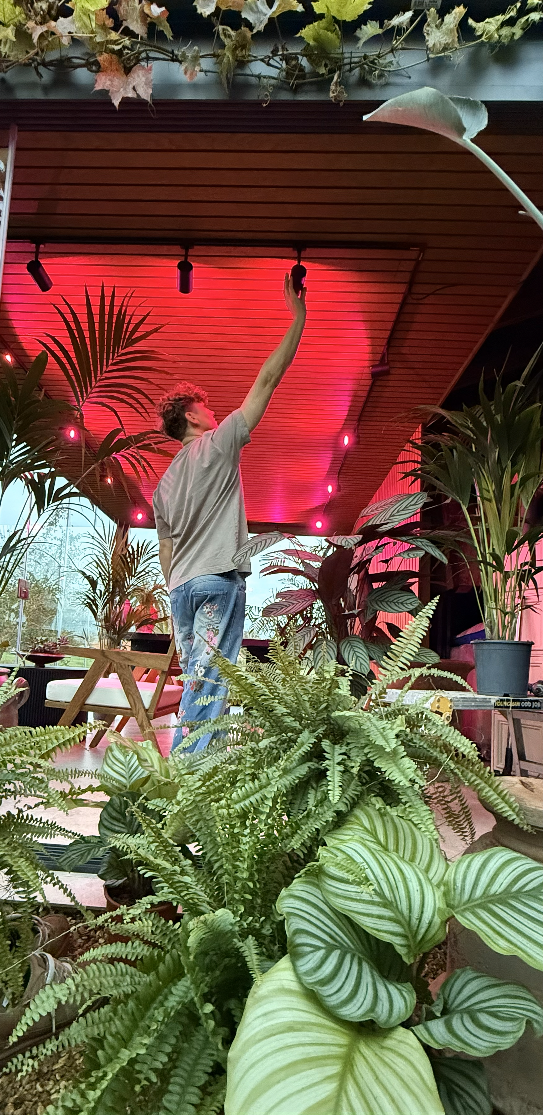 Jack Kinsey sets up his URail system in his indoor garden. Jack Kinsey aligns the spots on his URail rail system.