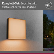 Moderne quadratische Außenwandleuchte mit schwarzem Rahmen und warmweißem LED-Licht an grauer Wand
