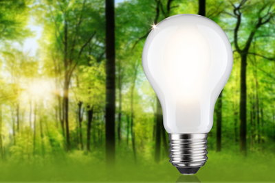 Glowing LED light bulb with E27 base in front of green forest background for energy-saving lighting