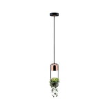 Modern pendant light in copper and black with integrated plant holder, decorative LED lighting for indoor plants