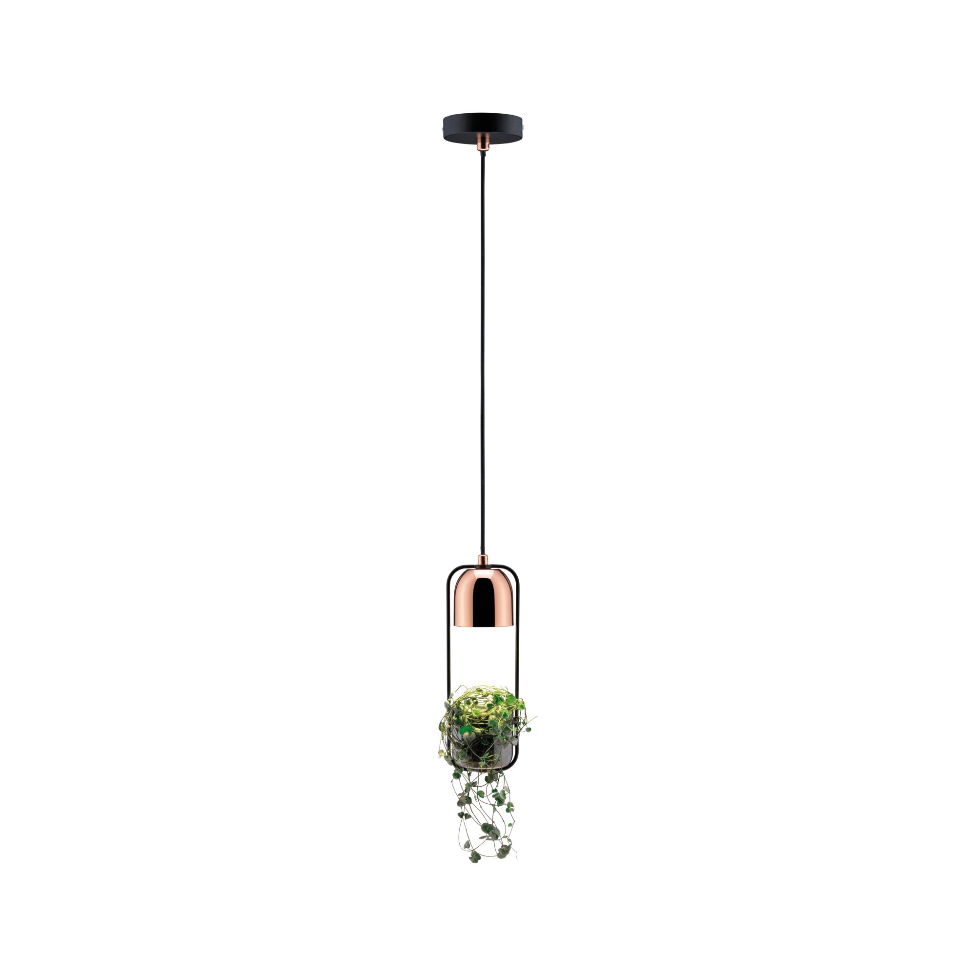 Suspension moderne en cuivre avec cadre noir et support intégré pour plante, éclairage intérieur design
