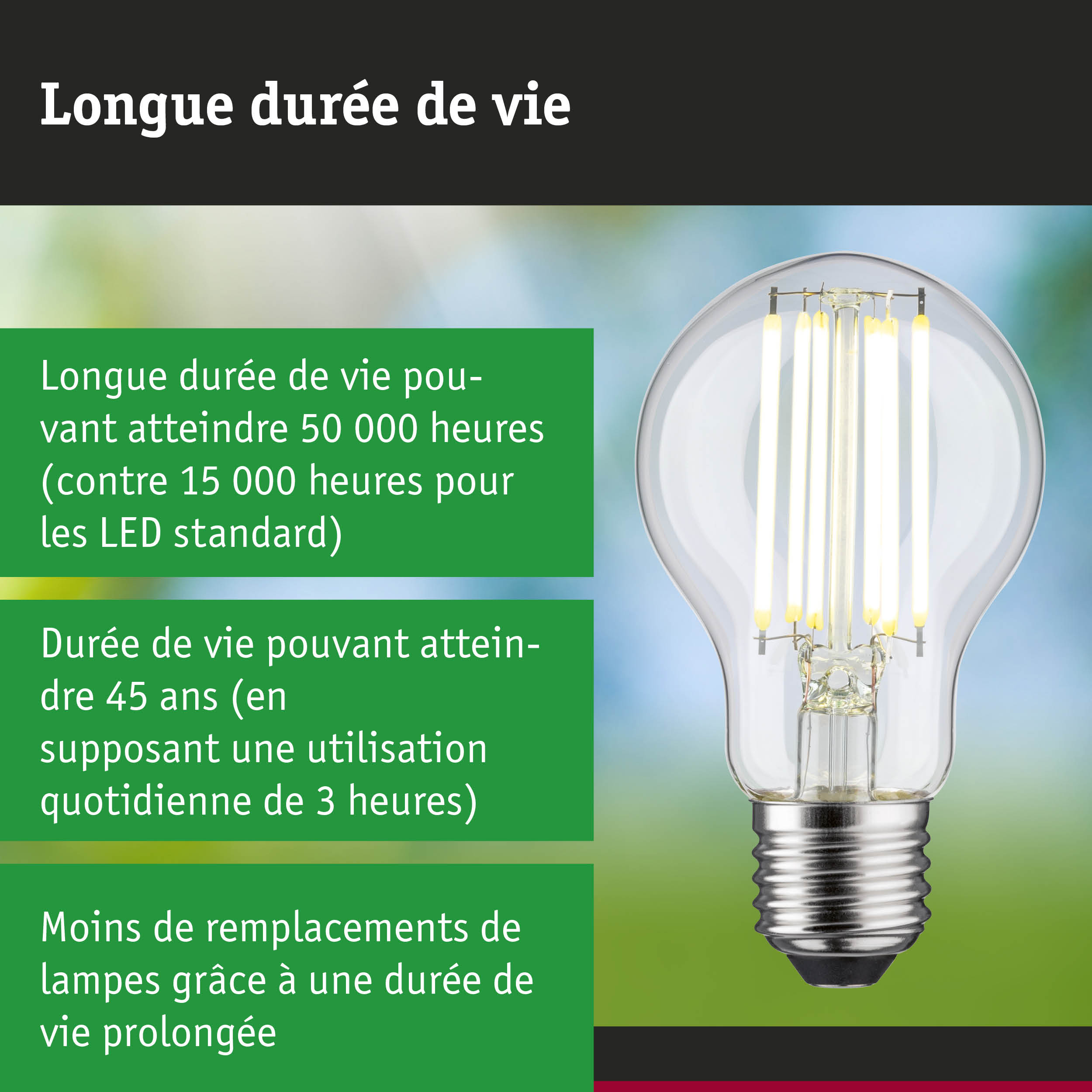Ampoule LED à longue durée de vie tenue en main, éclairage LED économique