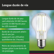 Ampoule LED à longue durée de vie tenue en main, éclairage LED économique