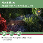 Gartenbeleuchtung mit warmweißem Licht auf Kies und Pflanzen für stimmungsvolle Terrasse