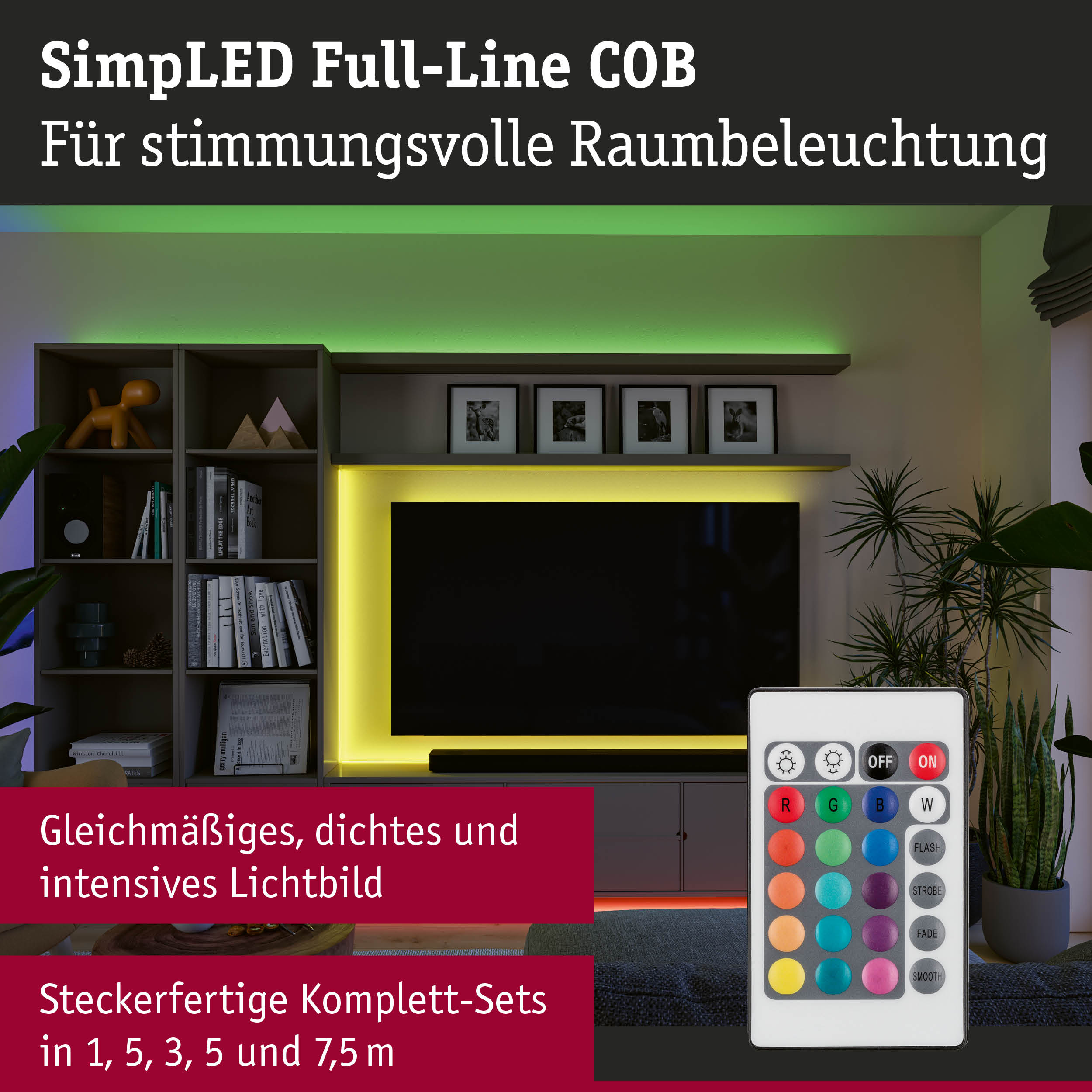 LED-Lichtleiste mit Fernbedienung in Weiß für stimmungsvolle Raumbeleuchtung und Farbwechsel