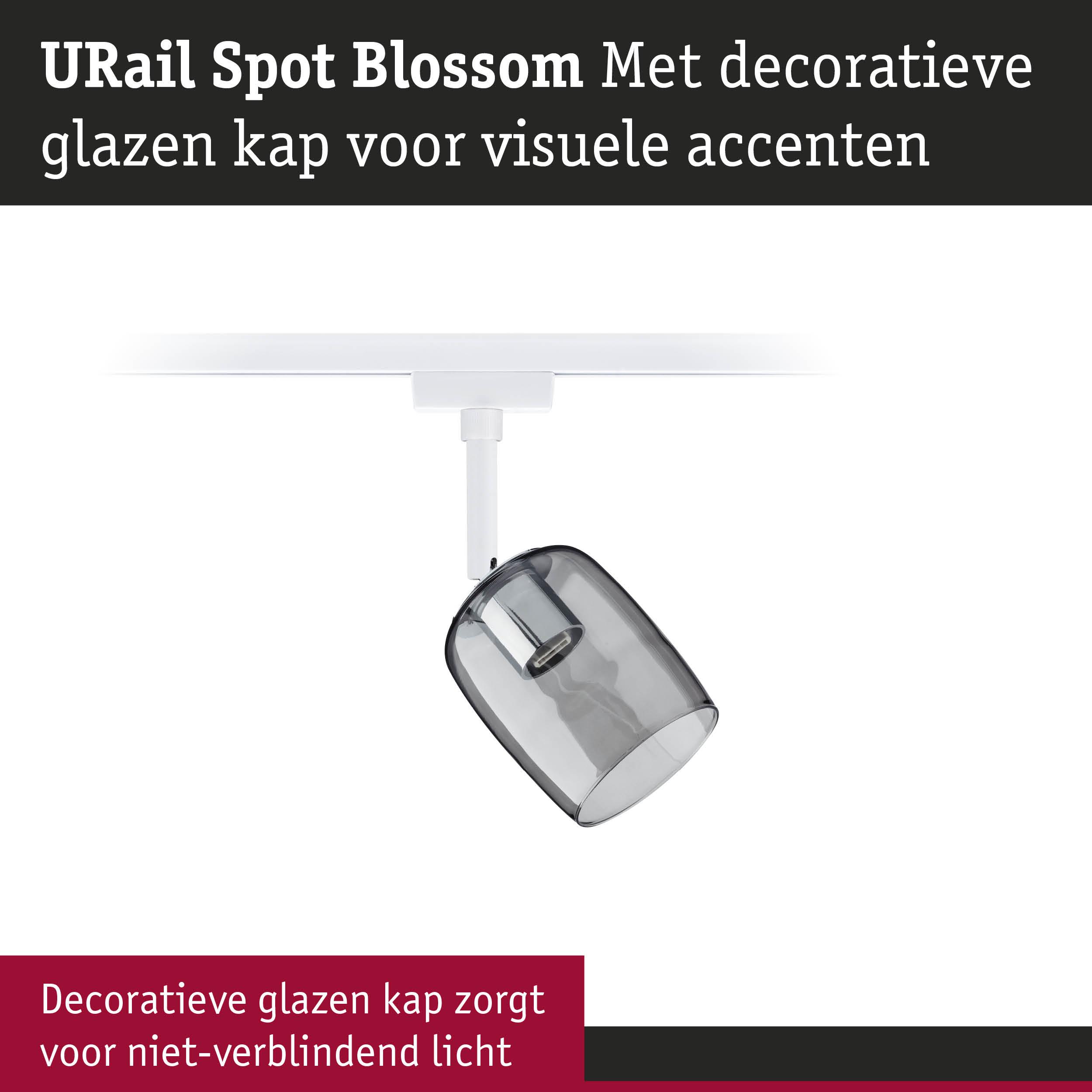 URail Spot Blossom met decoratieve grijze glazen kap voor niet-verblindend licht en visuele accenten