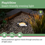 Stainless steel ground light with warm white glow for insect-friendly garden lighting
