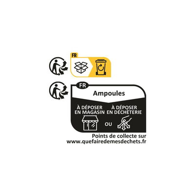 Instructions de recyclage pour ampoules avec dépôt en magasin ou déchèterie en France.