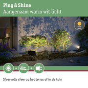 Buitenstraalspot met warm wit licht verlicht groene planten bij huismuur in tuin