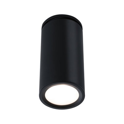 Black cylindrical metal ceiling light with warm white LED for modern indoor lighting solutions