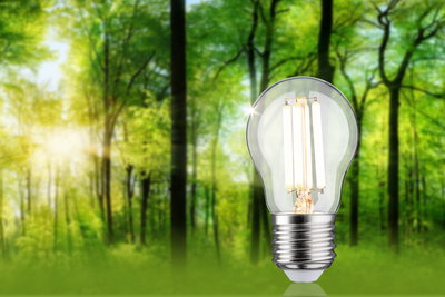 LED light bulb with clear glass and metal base in front of green forest background for energy-saving lighting