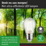 Energiezuinige LED-lamp met neutraal wit licht voor een groene bosachtergrond