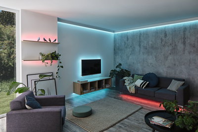 Salon moderne avec bandes LED bleues et rouges, canapé gris, étagères en bois avec plantes et décorations.