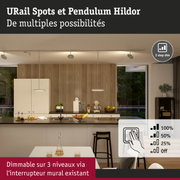 Spots et suspension blanches dimmables dans cuisine moderne avec panneaux muraux en bois