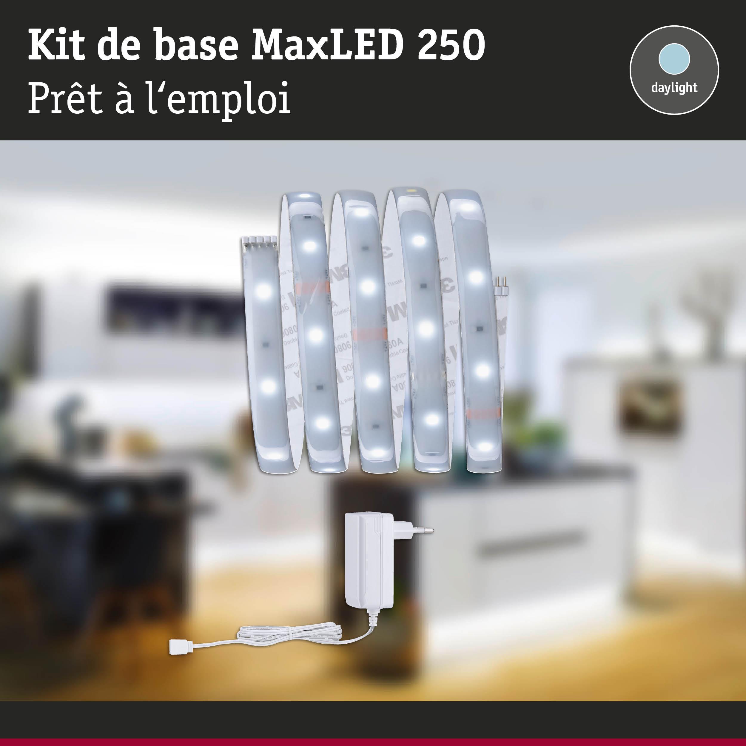 Bande LED MaxLED 250 avec adaptateur blanc pour éclairage lumineux en lumière du jour