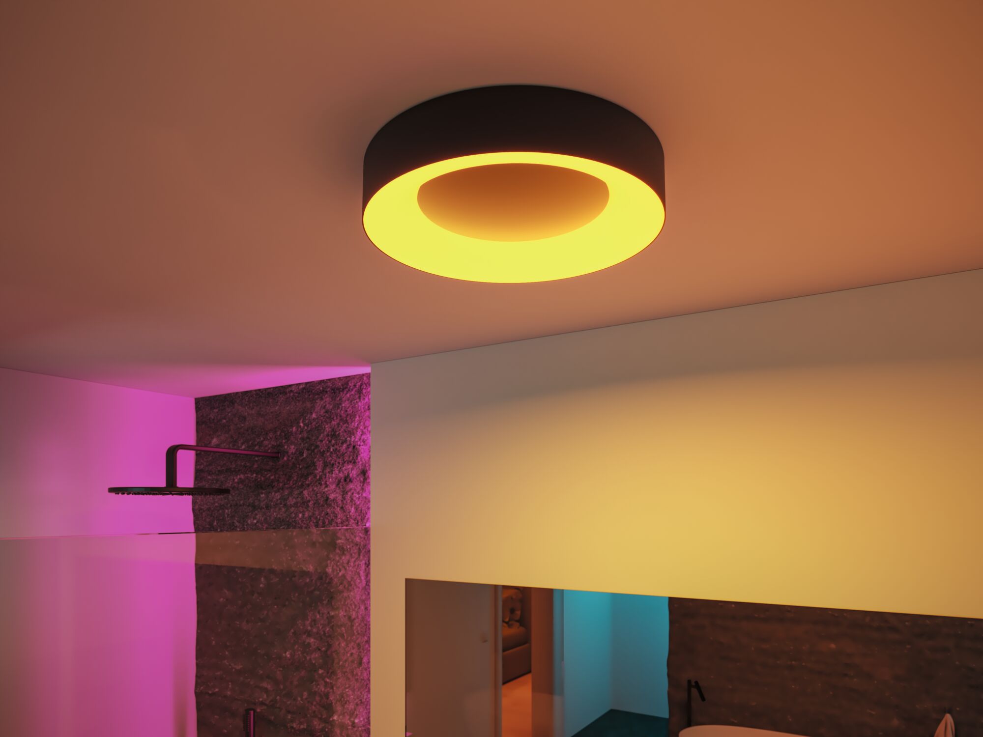 Runde Deckenleuchte in Schwarz mit warmweißem LED-Licht für moderne Wohnraumbeleuchtung