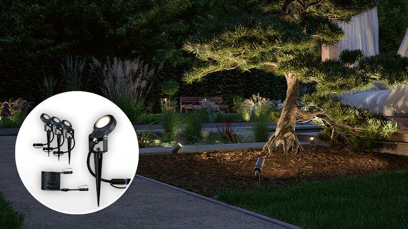 Ensemble de projecteurs LED extérieurs noirs avec piquets éclairant un arbre et un chemin de jardin la nuit