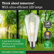 Clear LED bulb with warm white light and 3-step dimming for energy-efficient lighting solutions