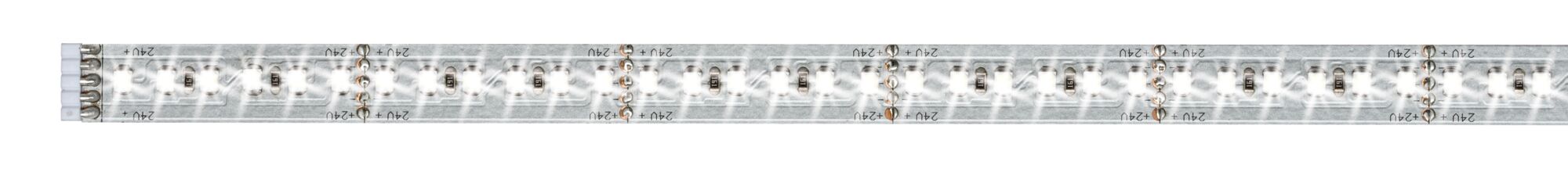 Long LED strip with white LEDs on flexible base for modern lighting solutions