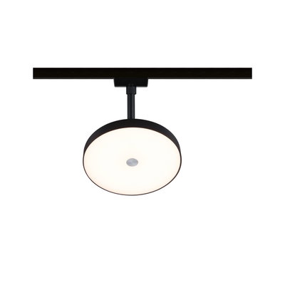 Rund LED-loftlampe med sort metalramme og hvid diffusor til moderne indendørs belysning