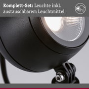 Nahaufnahme einer schwarzen Leuchte mit austauschbarem Leuchtmittel und mattem Gehäuse