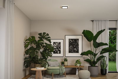 Moderne stue med grøn lænestol, store stueplanter og hvid firkantet loftslampe.