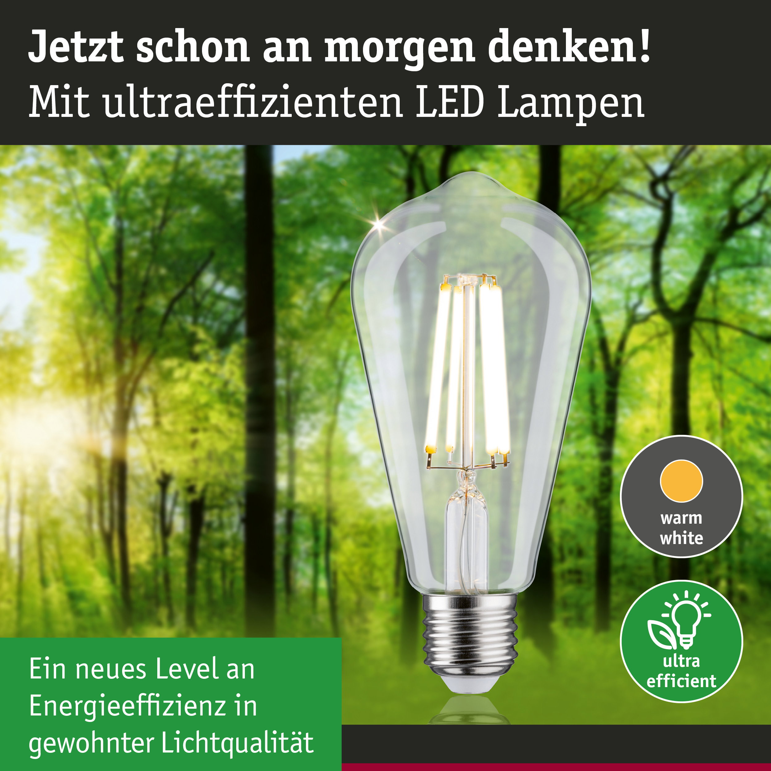 Klarer LED-Leuchtmittel mit warmweißem Licht und hoher Energieeffizienz vor grünem Waldhintergrund