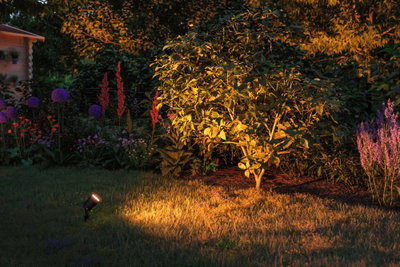 Black garden spotlight illuminating bush and flowerbed with warm white light for outdoor lighting.