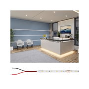 Modern office with white and blue LED light strips, stylish reception desk and indoor plants